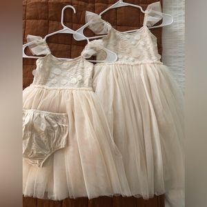 Noralee Camilla Dresses